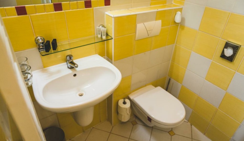 HOTEL U ČESKÉ KORUNY Hradec Králové - Jednolůžkový pokoj